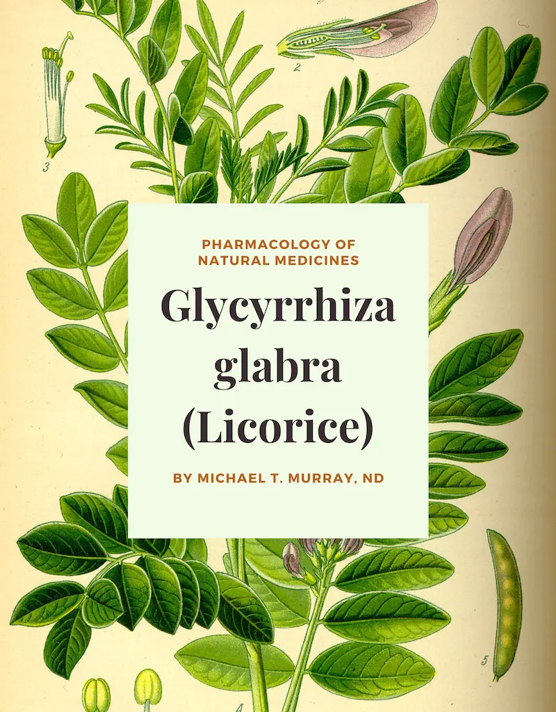Glycyrrhiza glabra (Licorice) - Cover Image