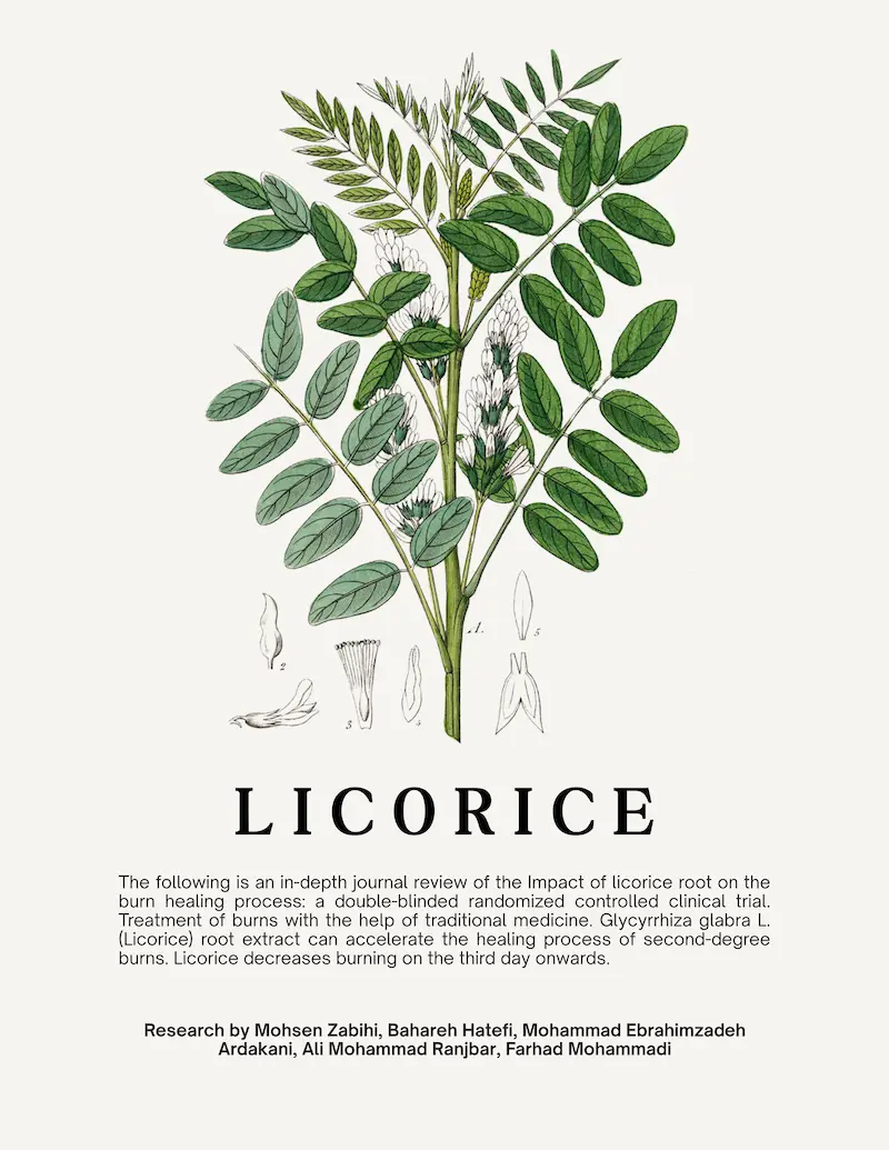 Licorice Report - Cover Image