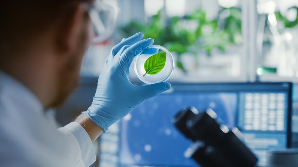 Handsome,Male,Microbiologist,Looking,At,A,Healthy,Green,Leaf,Sample.